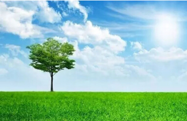 上海10月1日起試行實施：揮發(fā)性有機物治理設施運行管理技術(shù)規(guī)范
